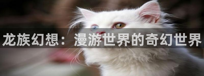 51漫画在哪里下载：龙族幻想：漫游世界的奇幻世界