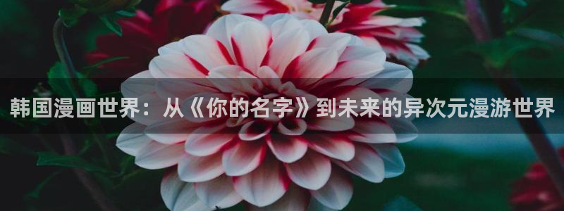 51漫画画：韩国漫画世界：从《你的名字》到未来的异次元漫游世界