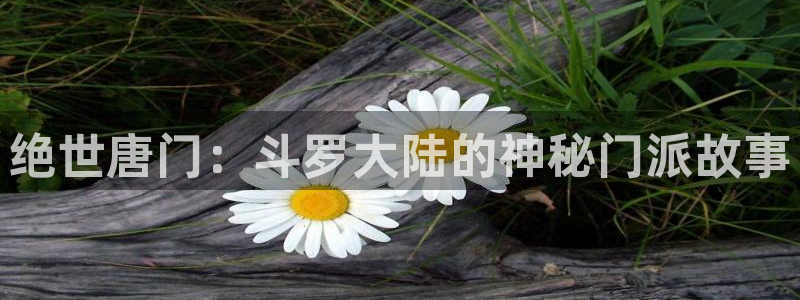 51漫画ww：绝世唐门：斗罗大陆的神秘门派故事