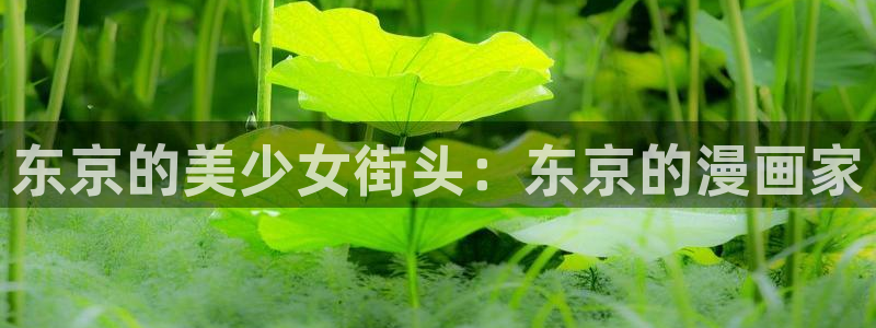 51漫画在线观看nba入口：东京的美少女街头：东京的漫画家