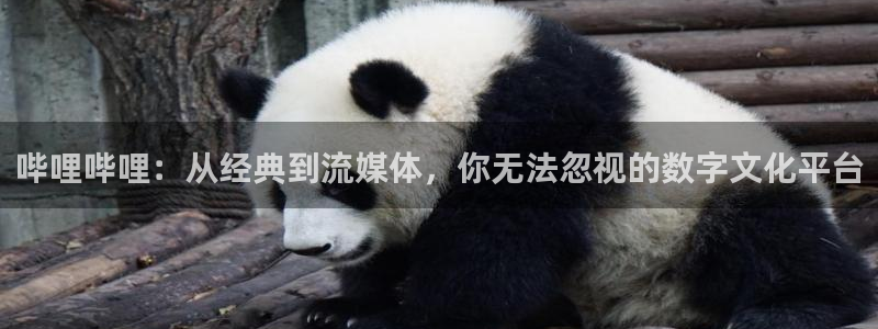 51漫画在线观看nba入口：哔哩哔哩：从经典到流媒体，你无法忽视的数字文化平台