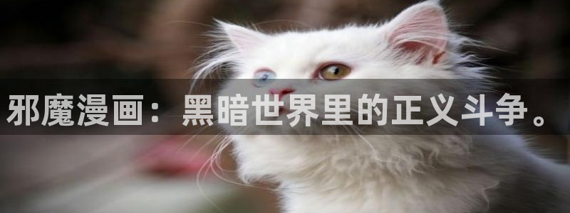 51漫画网：邪魔漫画：黑暗世界里的正义斗争。